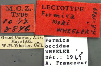 Media type: image;   Entomology 8846 Aspect: labels